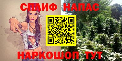 индика Гусиноозёрск