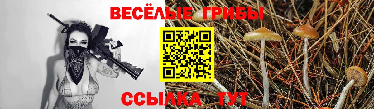 Галлюциногенные грибы Psilocybe  Вход с VPN  Щёлково  цена   Псилоцибиновые грибы Cubensis 