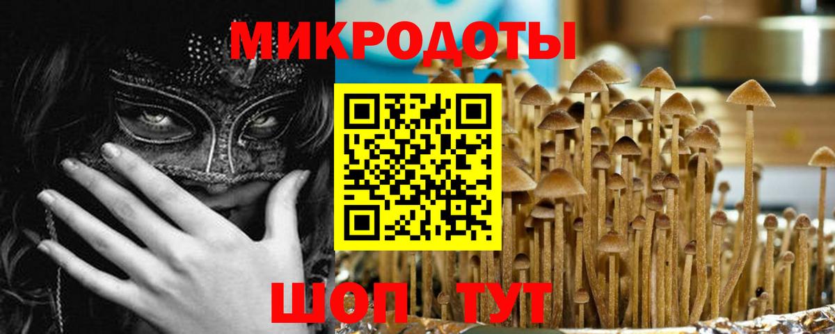 Псилоцибиновые грибы мухоморы Щёлково